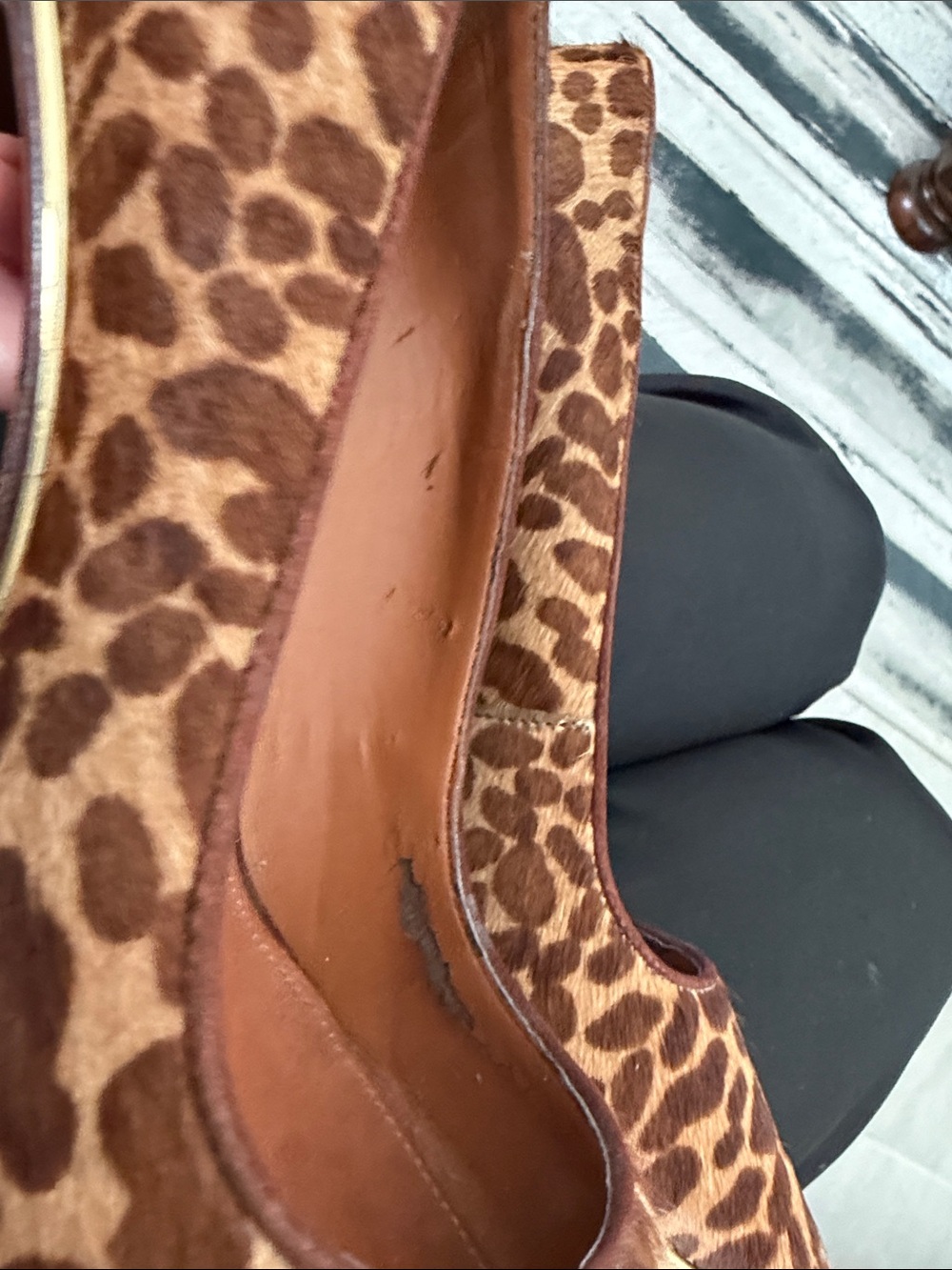 SCHUTZ Hair-Calf Leopard Print Pointed Toe Heels with Gold Trim - Picture 7 of 10